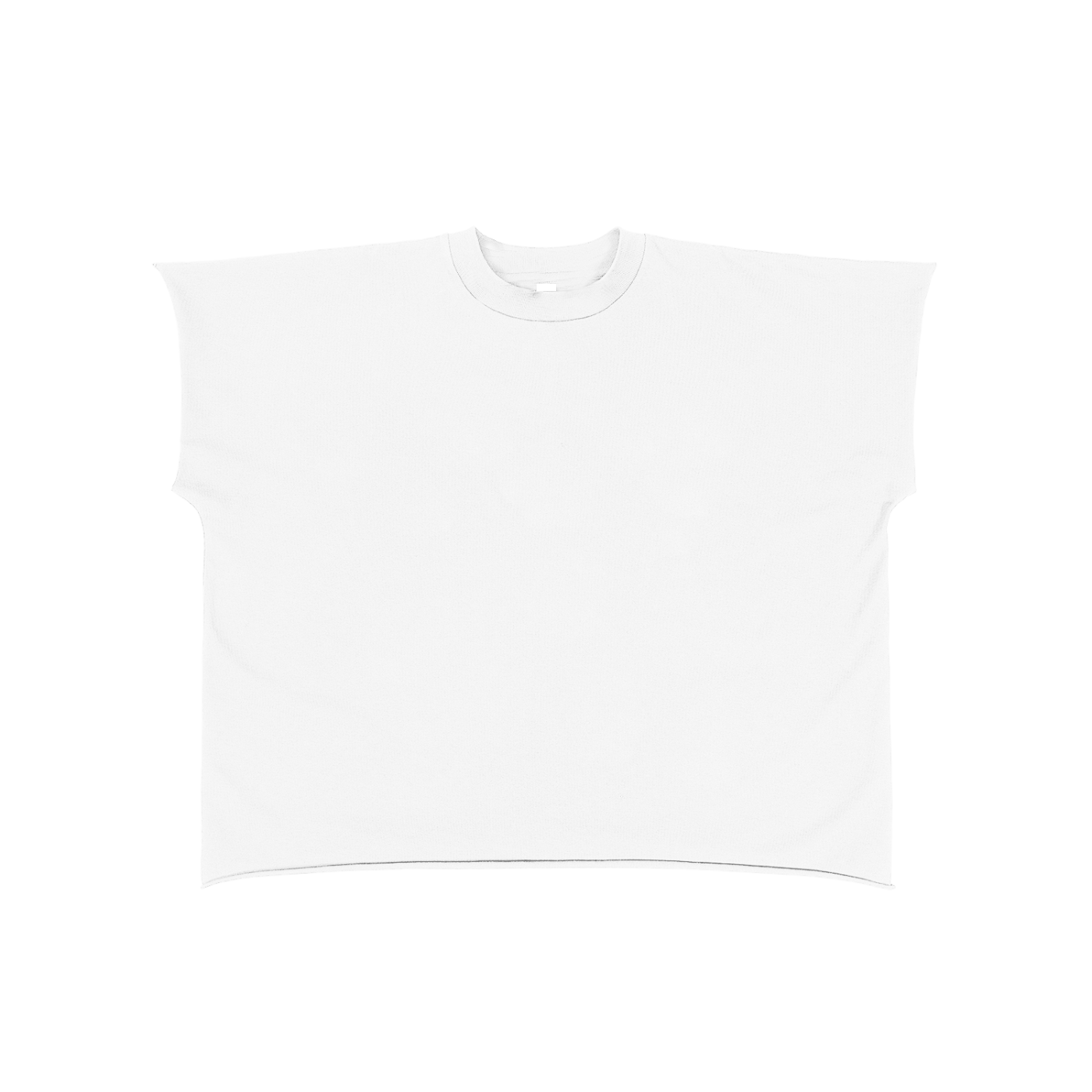 The Dolphin Raw Edge Boxy T-Shirt