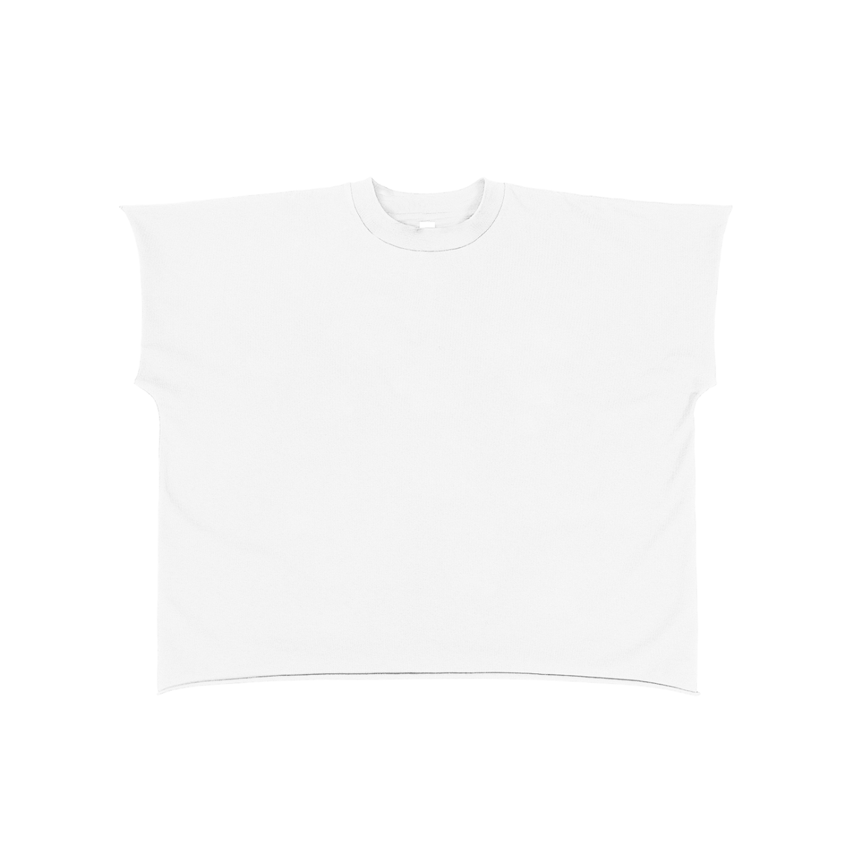 The Dolphin Boxy T-Shirt