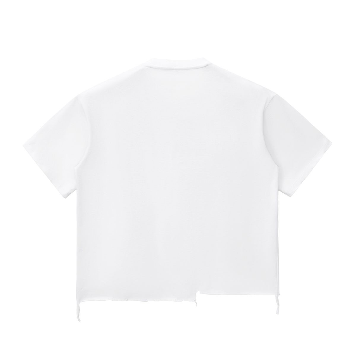 Ripped Boxy Shirt