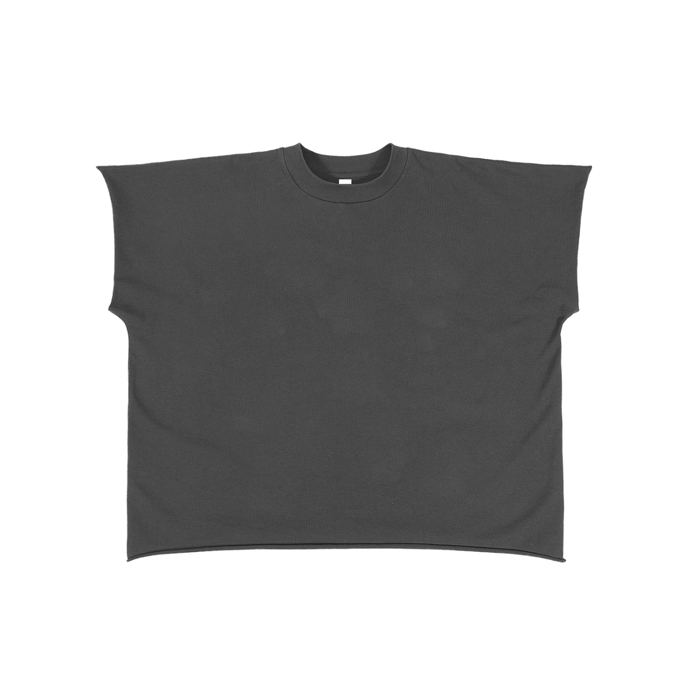 The Dolphin Raw Edge Boxy T-Shirt
